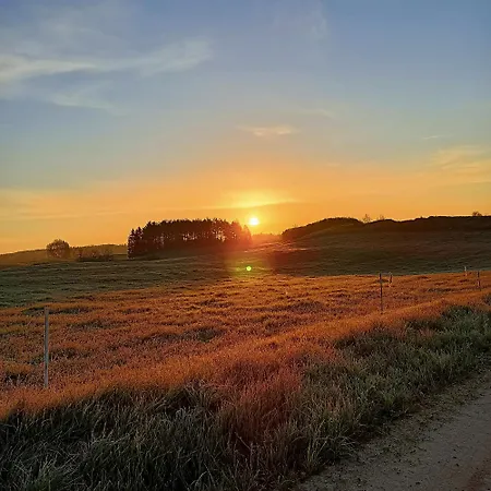 Na Farmie * Mikołajki